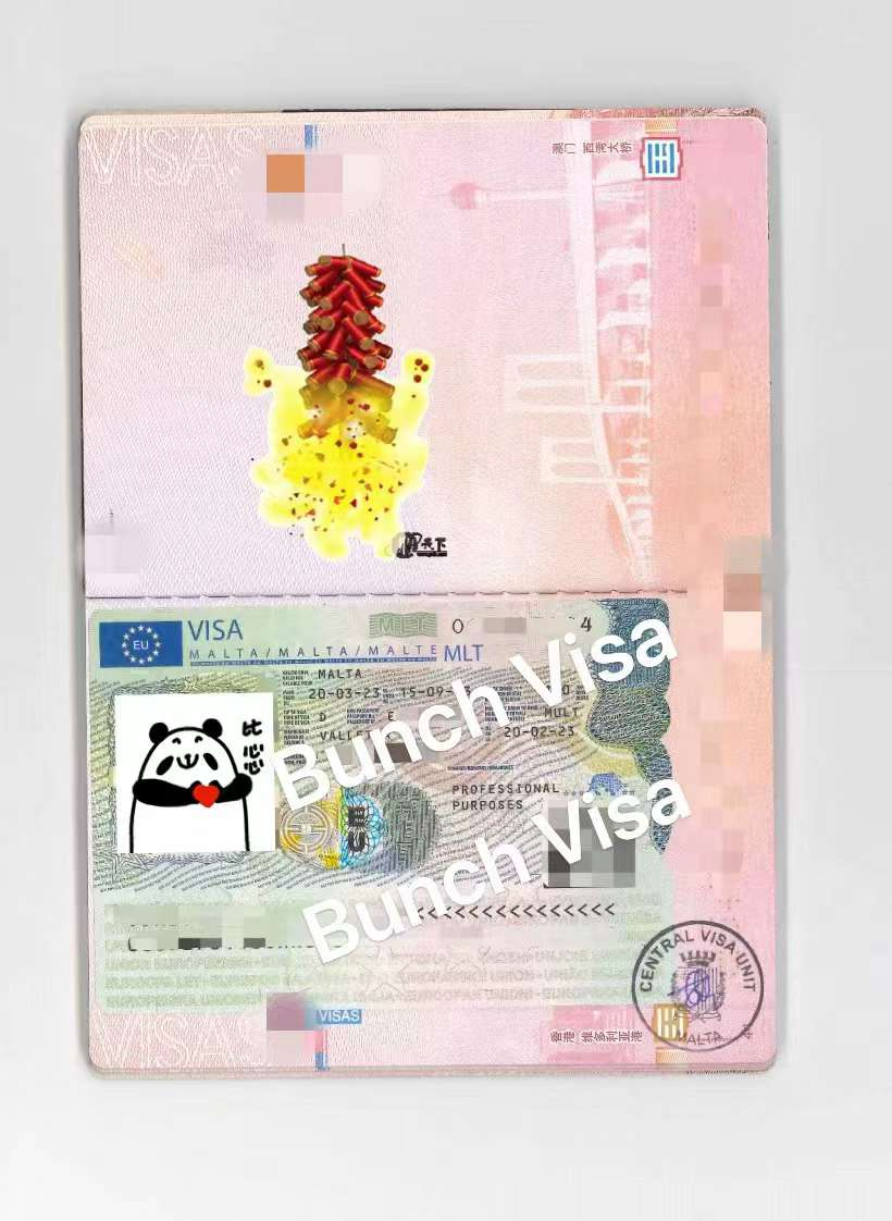 想要办理马耳他远程工签，进邦驰出国马耳他远程工签交流群就对了！