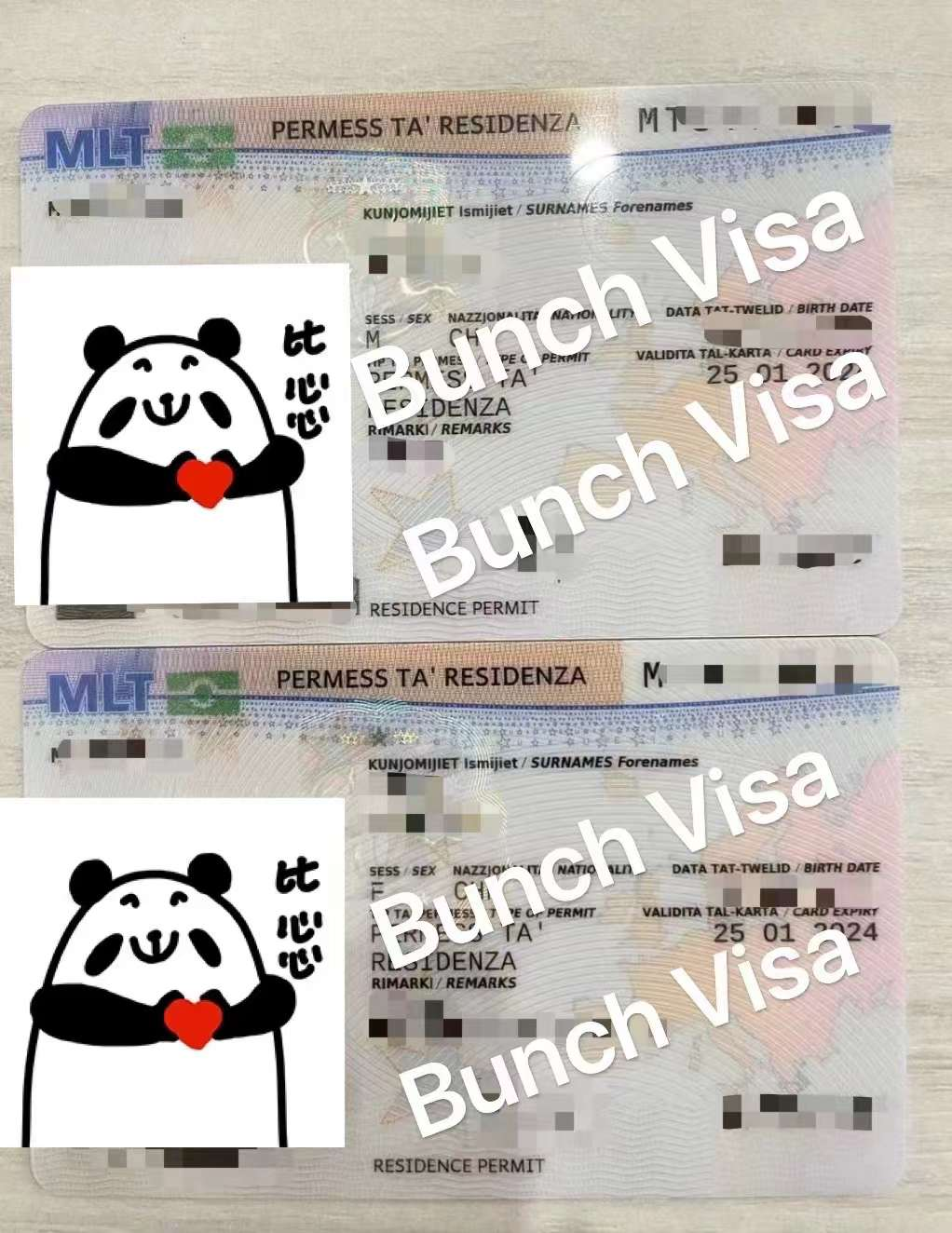想要办理马耳他远程工签，进邦驰出国马耳他远程工签交流群就对了！