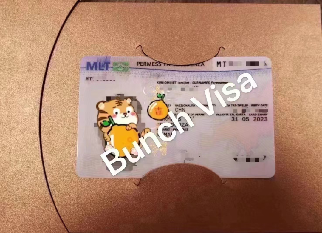 想要办理马耳他远程工签，进邦驰出国马耳他远程工签交流群就对了！